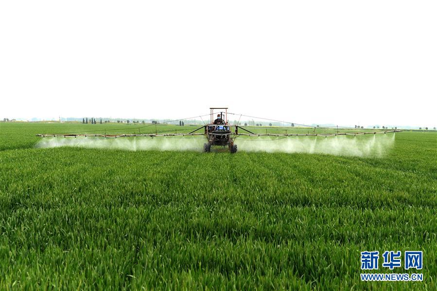 （在習(xí)近平新時代中國特色社會主義思想指引下&mdash;&mdash;新時代新作為新篇章&middot;習(xí)近平總書記關(guān)切事&middot;圖文互動）（10）新農(nóng)事、新希望&mdash;&mdash;夏收前田間新動態(tài)掃描