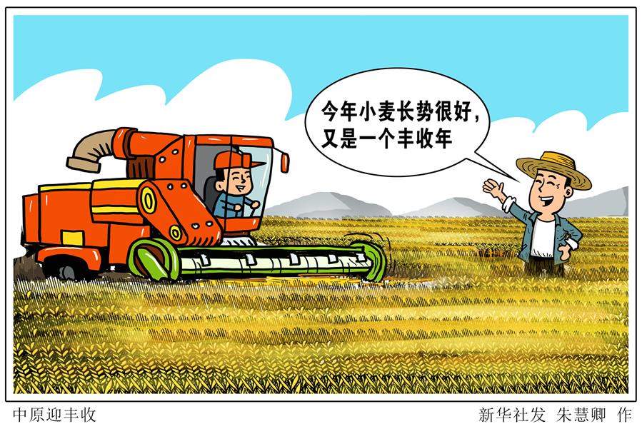 （圖表&middot;漫畫(huà)）［關(guān)注三夏］中原迎豐收
