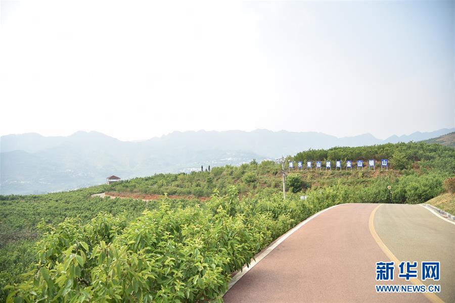 （決戰(zhàn)決勝脫貧攻堅&middot;圖文互動）（2）烏蒙山農民的笑臉&mdash;&mdash;貴州脫貧攻堅一線采訪隨筆