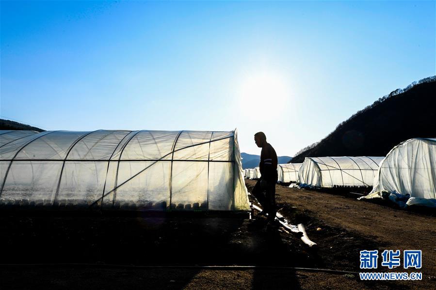 (決戰(zhàn)決勝脫貧攻堅·圖文互動)(10)長白山下唱新篇——吉林延邊州脫貧攻堅觀察