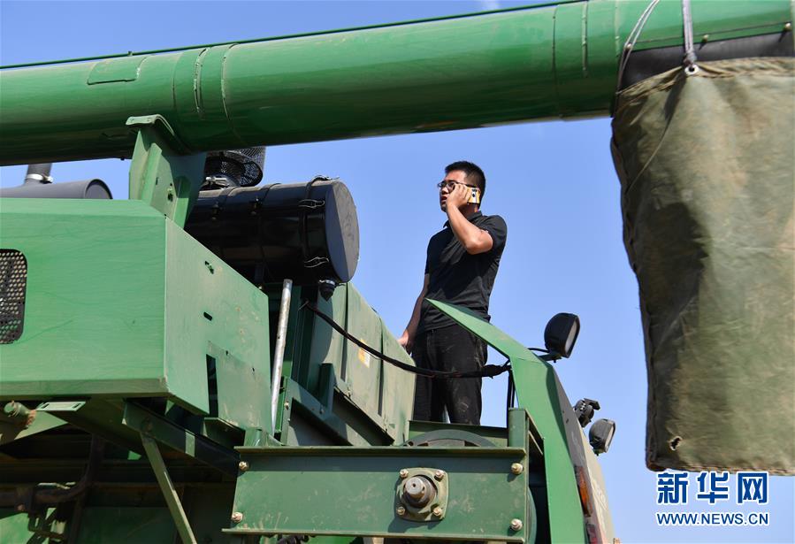 (關(guān)注三夏·圖文互動)(4)麥田“后浪”的農(nóng)事新說
