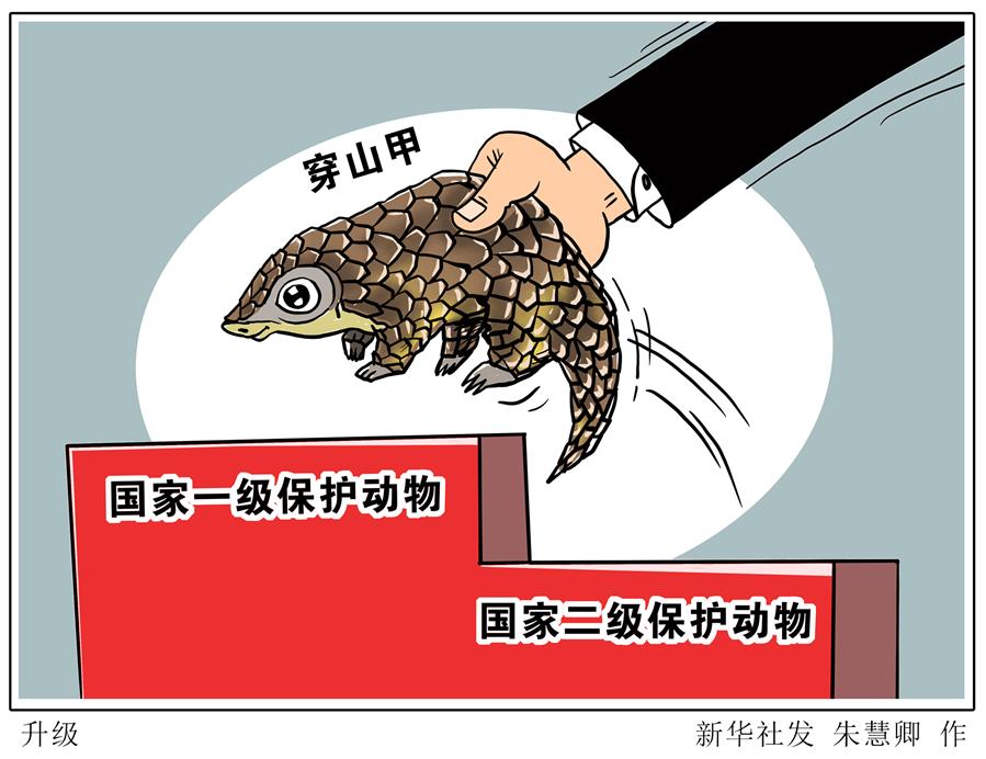 （圖表&middot;漫畫）［環(huán)境］升級(jí)