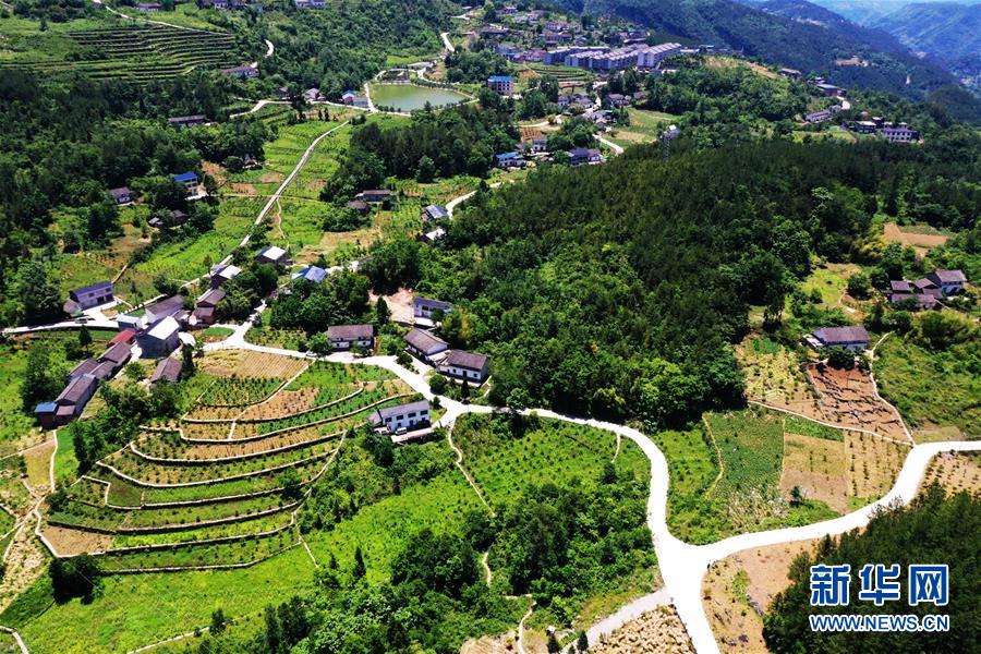 （新華全媒頭條&middot;圖文互動）（11）待到滿山紅葉時&mdash;&mdash;三峽重慶庫區(qū)踐行新發(fā)展理念面面觀