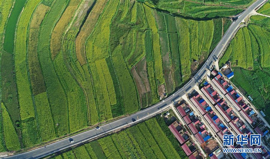 (在習近平新時代中國特色社會主義思想指引下——新時代新作為新篇章·習近平總書記關切事·圖文互動)(4)六盤山下的誓言——來自寧夏的脫貧故事