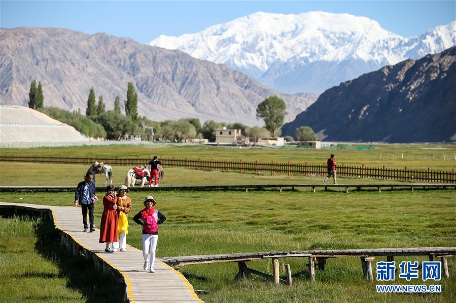 （新華全媒頭條&middot;圖文互動(dòng)）（15）飛吧，&ldquo;帕米爾雄鷹&rdquo;！