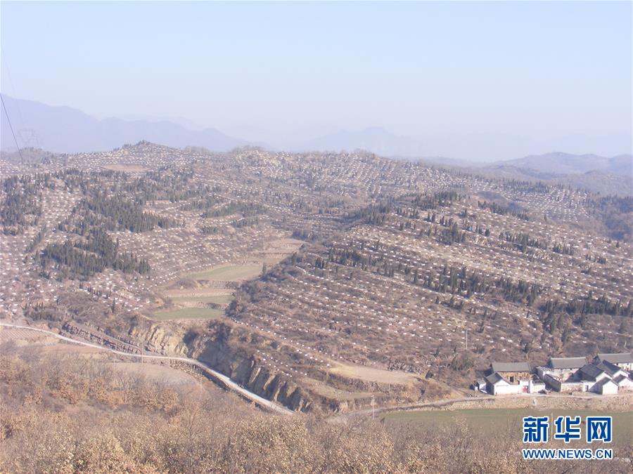 (決戰(zhàn)決勝脫貧攻堅·圖文互動)(2)“愚公”治山