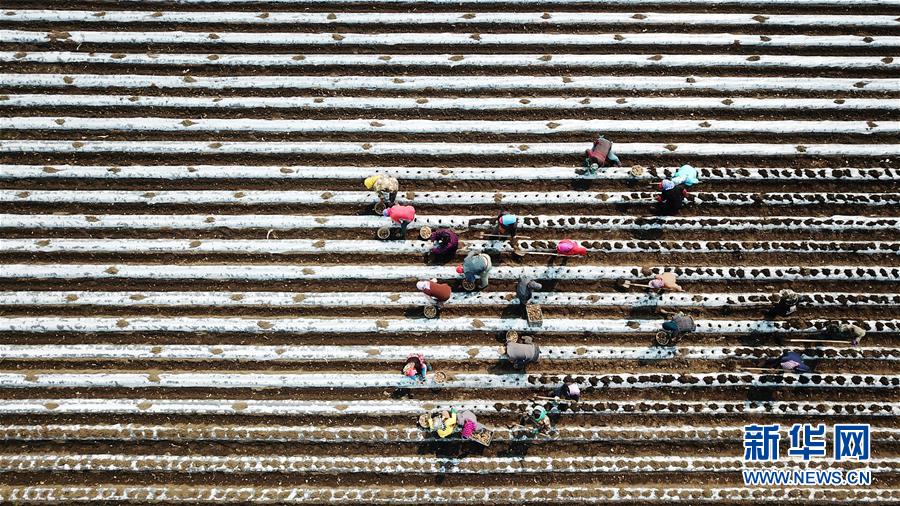 (在習(xí)近平新時(shí)代中國(guó)特色社會(huì)主義思想指引下——新時(shí)代新作為新篇章·習(xí)近平總書(shū)記關(guān)切事·圖文互動(dòng))(2)讓每一寸耕地都成為豐收的沃土——我國(guó)加強(qiáng)耕地保護(hù)推進(jìn)“藏糧于地”