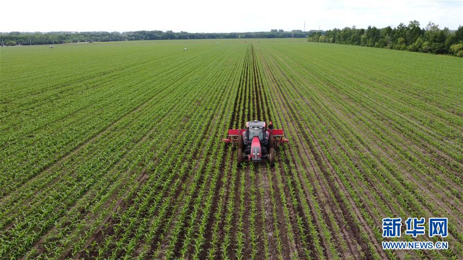 (在習(xí)近平新時(shí)代中國(guó)特色社會(huì)主義思想指引下——新時(shí)代新作為新篇章·習(xí)近平總書(shū)記關(guān)切事·圖文互動(dòng))(5)讓每一寸耕地都成為豐收的沃土——我國(guó)加強(qiáng)耕地保護(hù)推進(jìn)“藏糧于地”