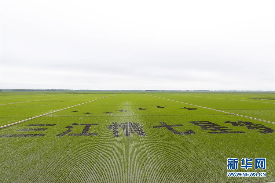 （走向我們的小康生活&middot;圖文互動(dòng)）（2）端牢&ldquo;中國飯碗&rdquo; 播種綠色小康