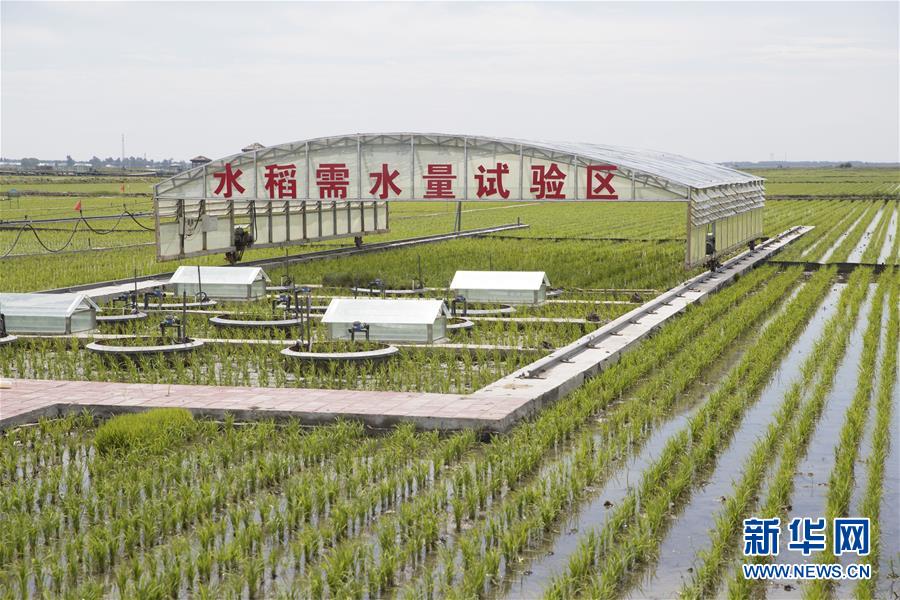 （走向我們的小康生活&middot;圖文互動(dòng)）（6）端牢&ldquo;中國飯碗&rdquo; 播種綠色小康