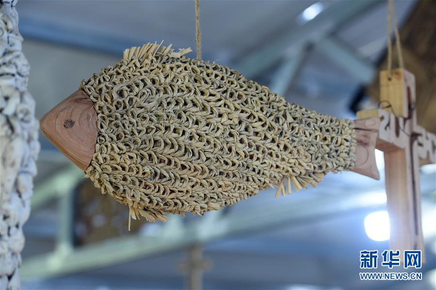  （新華全媒頭條&middot;圖文互動）（6）青春，在希望的田野上&mdash;&mdash;大別山區(qū)尋訪&ldquo;城歸&rdquo;大學畢業(yè)生