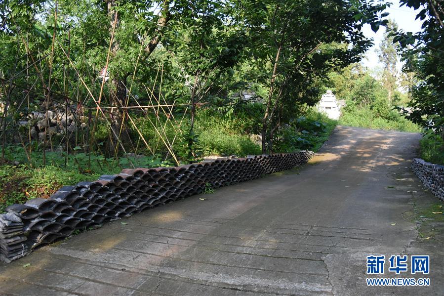 （鄉(xiāng)村振興&middot;圖文互動(dòng)）（2）海壩成&ldquo;畫(huà)&rdquo;