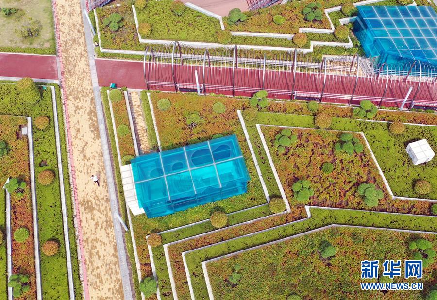 （走向我們的小康生活&middot;圖文互動(dòng)）（2）15分鐘&ldquo;圈&rdquo;出美好生活