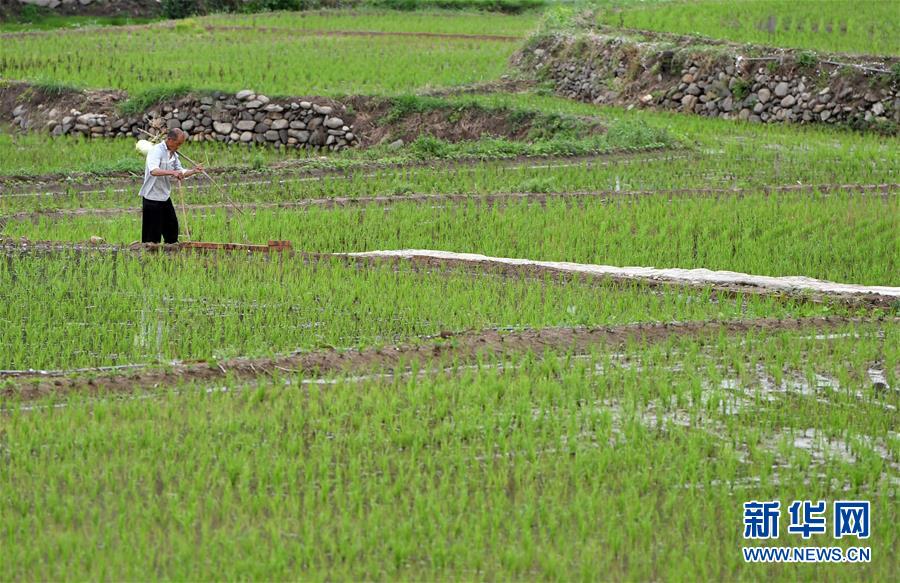 （新華全媒頭條&middot;走向我們的小康生活&middot;圖文互動(dòng)）（11）大山深處有&ldquo;新家&rdquo;&mdash;&mdash;大別山村繪出現(xiàn)代版&ldquo;富春山居圖&rdquo;