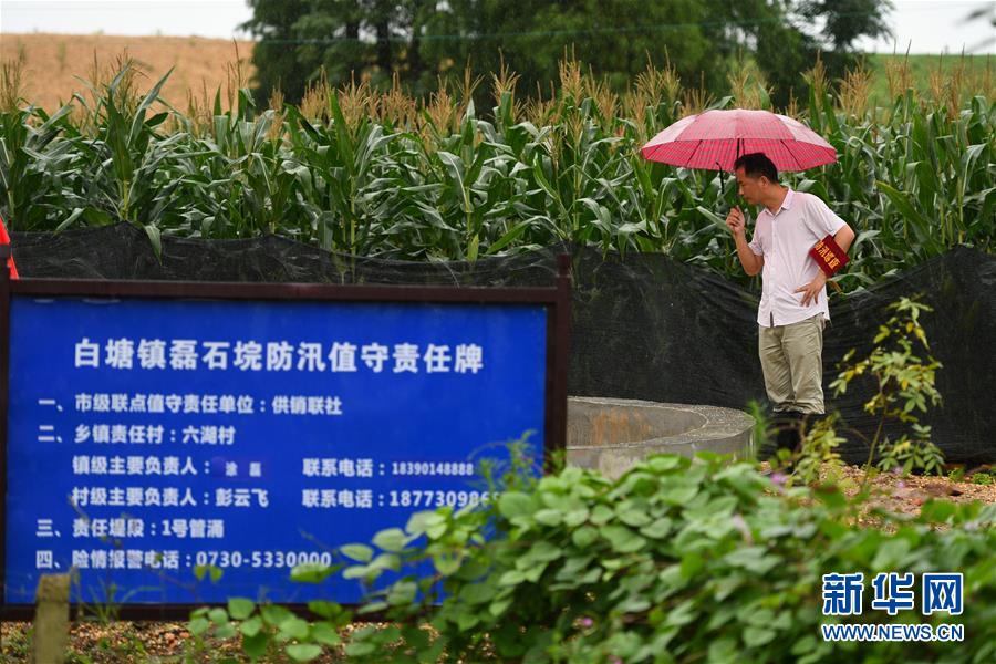 （防汛抗洪&middot;圖文互動）（1）&ldquo;險情不可怕，可怕的是不能及時發(fā)現(xiàn)險情&rdquo;&mdash;&mdash;洞庭湖巡堤查險現(xiàn)場直擊