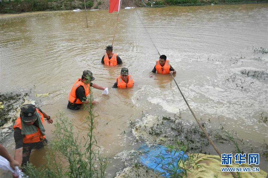 （防汛抗洪&middot;圖文互動）（1）&ldquo;大堤上有了&lsquo;導(dǎo)彈綠&rsquo;，我們老百姓安了心&rdquo;