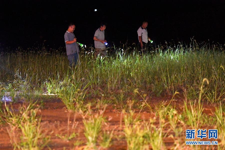 （防汛抗洪&middot;圖文互動）（2）&ldquo;保衛(wèi)家園，誰都不能是旁觀者&rdquo;&mdash;&mdash;夜訪洞庭湖大堤防汛一線