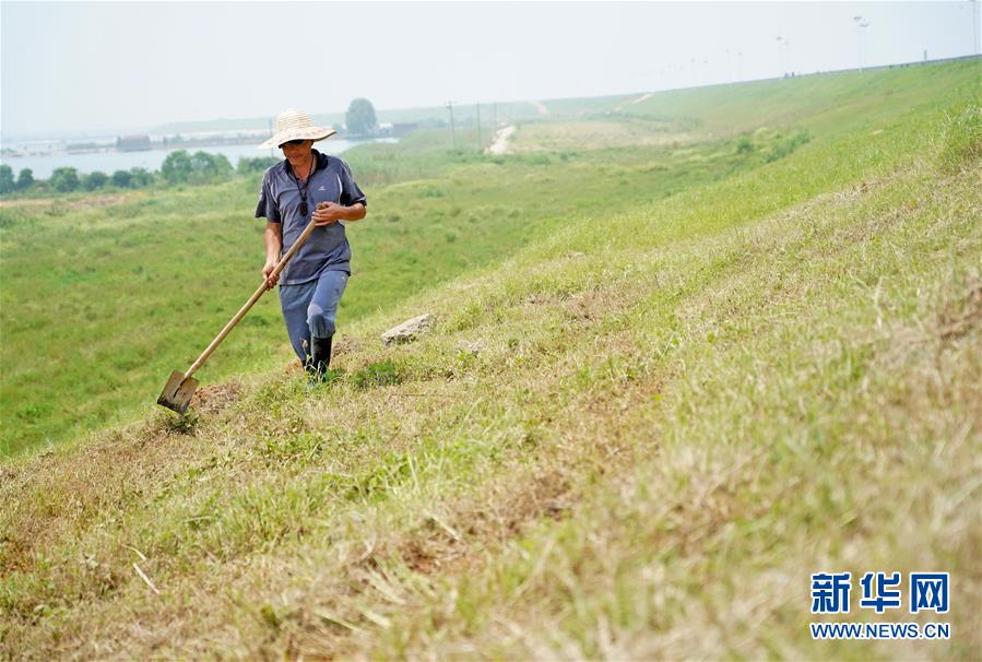 （防汛抗洪&middot;圖文互動(dòng)）（1）特寫：康山大堤上的脫貧&ldquo;守堤人&rdquo;