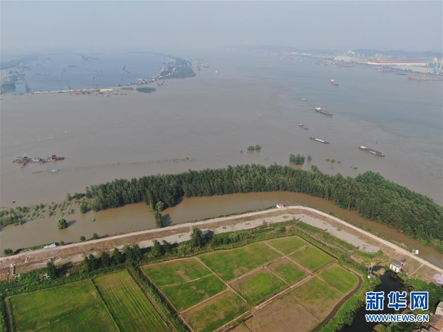 （新華全媒頭條&middot;圖文互動）（1）鏖戰(zhàn)江新洲