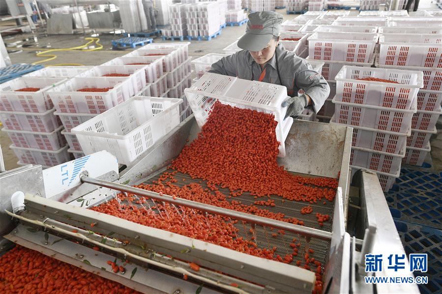 （走向我們的小康生活&middot;圖文互動(dòng)）（1）西海固換了新模樣