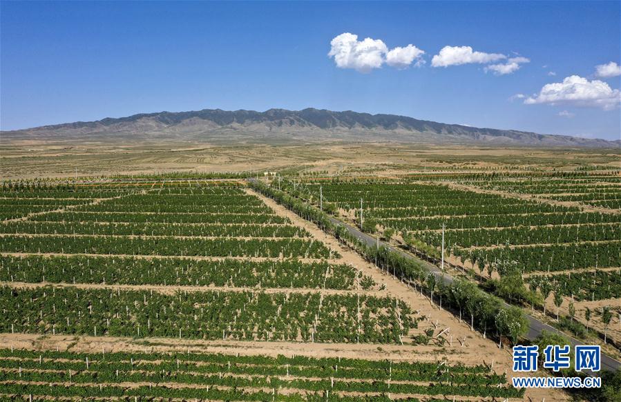 （走向我們的小康生活&middot;圖文互動(dòng)）（4）西海固換了新模樣