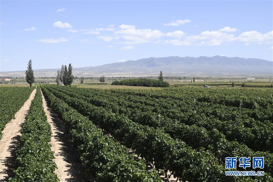 （新華全媒頭條&middot;走向我們的小康生活&middot;圖文互動）（9）23萬人的命運轉(zhuǎn)折&mdash;&mdash;我國最大易地生態(tài)移民安置區(qū)的脫貧密碼