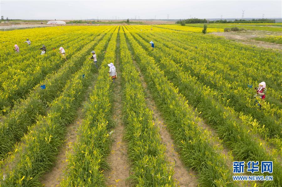 （新華全媒頭條&middot;走向我們的小康生活&middot;圖文互動）（11）23萬人的命運轉(zhuǎn)折&mdash;&mdash;我國最大易地生態(tài)移民安置區(qū)的脫貧密碼