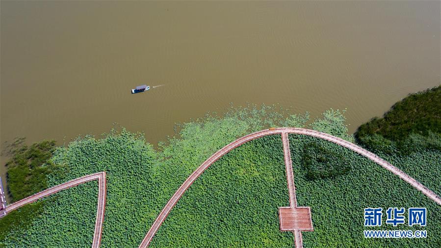 （在習(xí)近平新時(shí)代中國特色社會(huì)主義思想指引下&mdash;&mdash;新時(shí)代新作為新篇章&middot;習(xí)近平總書記關(guān)切事&middot;圖文互動(dòng)）（8）綠色映底蘊(yùn)，山水見初心&mdash;&mdash;生態(tài)優(yōu)先、綠色發(fā)展持續(xù)造福群眾美好生活