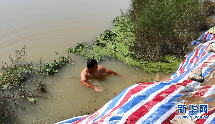 (新華全媒頭條·圖文互動(dòng))(2)筑起共御水患的鋼鐵長(zhǎng)堤——戰(zhàn)洪一線的“干群關(guān)系新答卷”