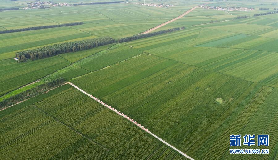 （在習近平新時代中國特色社會主義思想指引下&mdash;&mdash;新時代新作為新篇章&middot;習近平總書記關切事&middot;圖文互動）（2）為黑土加&ldquo;油&rdquo;&mdash;&mdash;&ldquo;耕地中的大熊貓&rdquo;，我們這樣保護