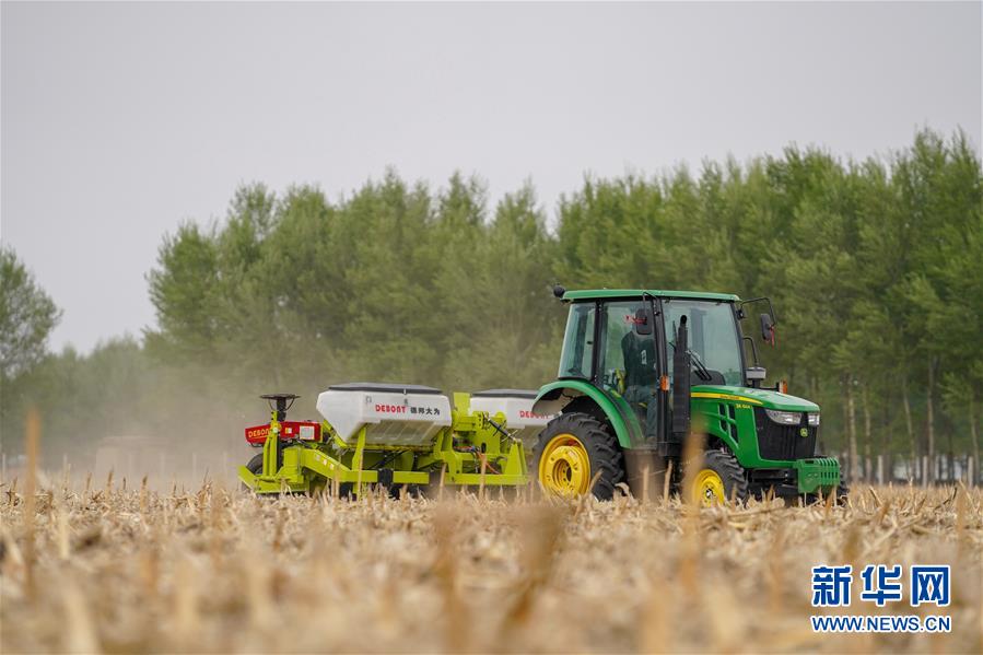 （在習近平新時代中國特色社會主義思想指引下&mdash;&mdash;新時代新作為新篇章&middot;習近平總書記關切事&middot;圖文互動）（7）為黑土加&ldquo;油&rdquo;&mdash;&mdash;&ldquo;耕地中的大熊貓&rdquo;，我們這樣保護