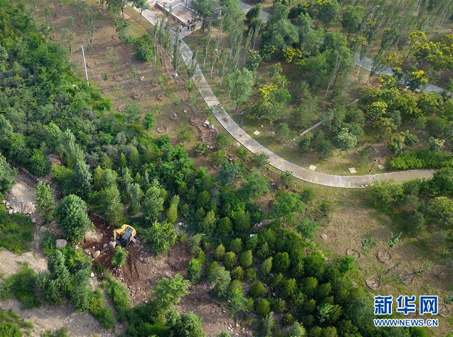 （新華全媒頭條&middot;圖文互動(dòng)）（15）扎實(shí)推進(jìn)籌辦，不負(fù)青春韶華&mdash;&mdash;北京冬奧會(huì)籌辦備戰(zhàn)克服疫情影響平穩(wěn)推進(jìn)