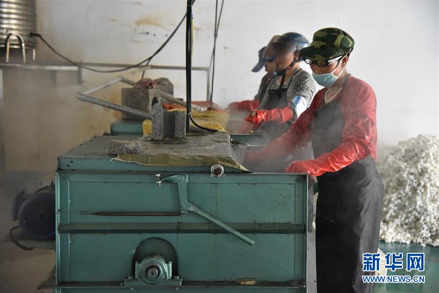 （決戰(zhàn)決勝脫貧攻堅(jiān)&middot;圖文互動）（2）&ldquo;江南繅絲&rdquo;喀斯特深山扎根記