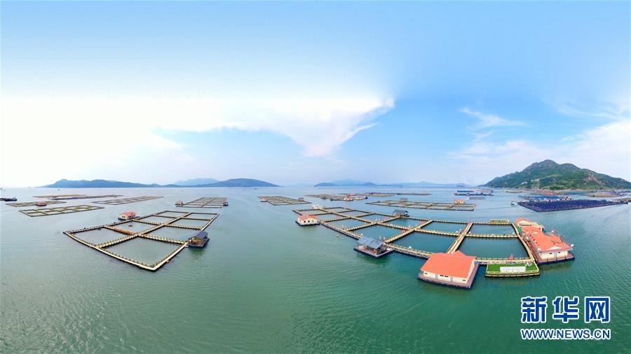 (新華全媒頭條·走向我們的小康生活·圖文互動(dòng))(3)弱鳥(niǎo)先飛今翱翔——閩東寧德振興啟示錄