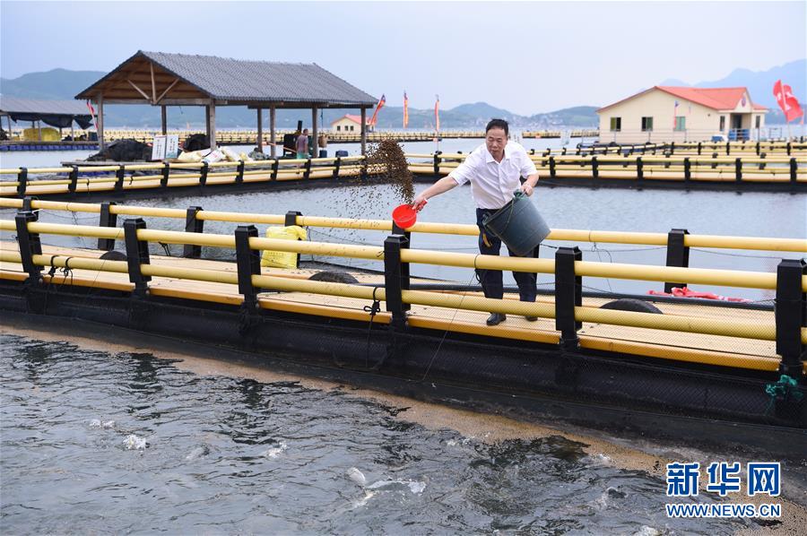 (新華全媒頭條·走向我們的小康生活·圖文互動(dòng))(9)弱鳥(niǎo)先飛今翱翔——閩東寧德振興啟示錄