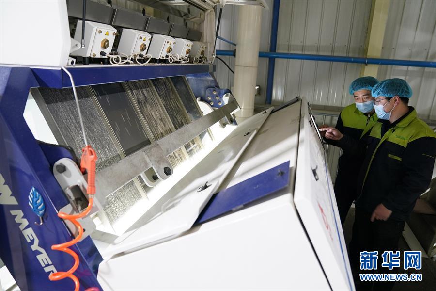 （在習(xí)近平新時(shí)代中國(guó)特色社會(huì)主義思想指引下&mdash;&mdash;新時(shí)代新作為新篇章&middot;習(xí)近平總書記關(guān)切事&middot;圖文互動(dòng)）（6）激發(fā)每個(gè)經(jīng)濟(jì)&ldquo;細(xì)胞&rdquo;的活力&mdash;&mdash;千方百計(jì)把市場(chǎng)主體保護(hù)好