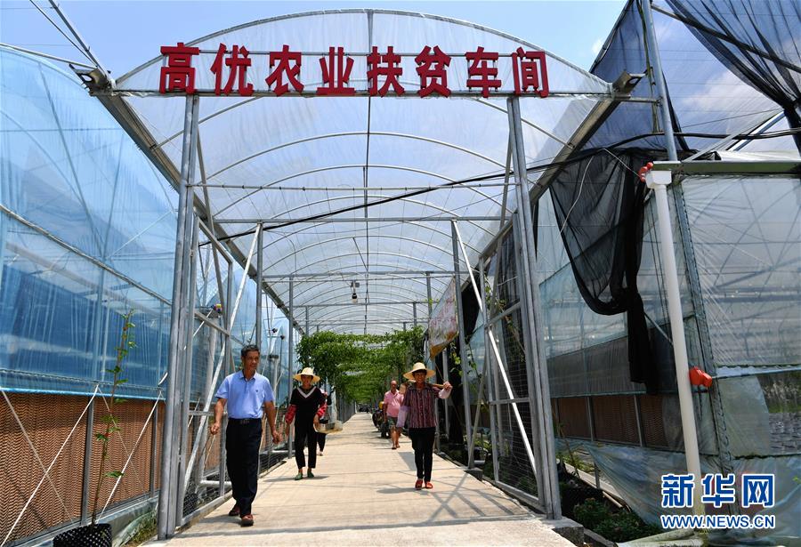 （走向我們的小康生活&middot;圖文互動(dòng)）（3）&ldquo;紅土地&rdquo;越來越紅火&mdash;&mdash;福建老區(qū)蘇區(qū)發(fā)展新貌掠影