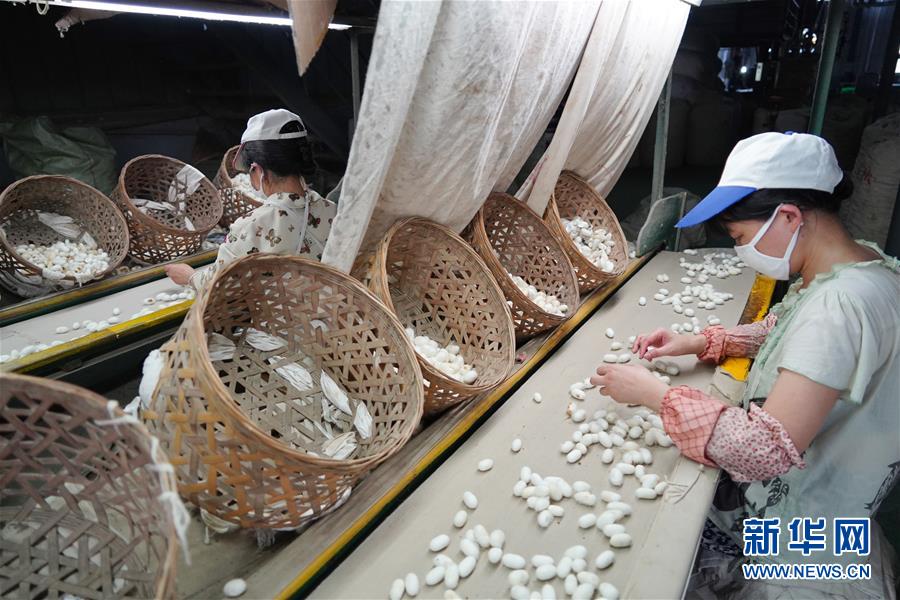 （走向我們的小康生活&middot;圖文互動）（1）綠了青山，紅了日子&mdash;&mdash;秦巴山區(qū)群眾繪出小康&ldquo;調(diào)色板&rdquo;