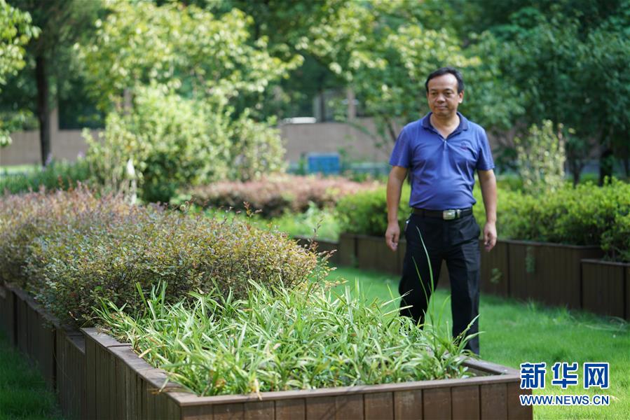 （圖文互動）（1）&ldquo;綠灰白&rdquo;破解城市內(nèi)澇之&ldquo;囧&rdquo;