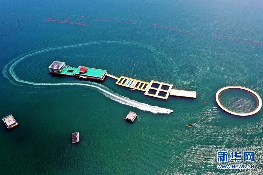 （圖文互動）（2）把&ldquo;試驗(yàn)田&rdquo;種成&ldquo;高產(chǎn)田&rdquo;&mdash;&mdash;記中國（山東）自由貿(mào)易試驗(yàn)區(qū)設(shè)立一周年