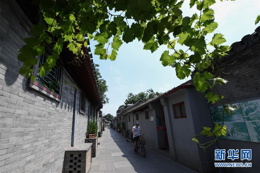 （走向我們的小康生活&middot;圖文互動）（1）小橋、流水、書香、人家&mdash;&mdash;老北京胡同里的恬靜棲居