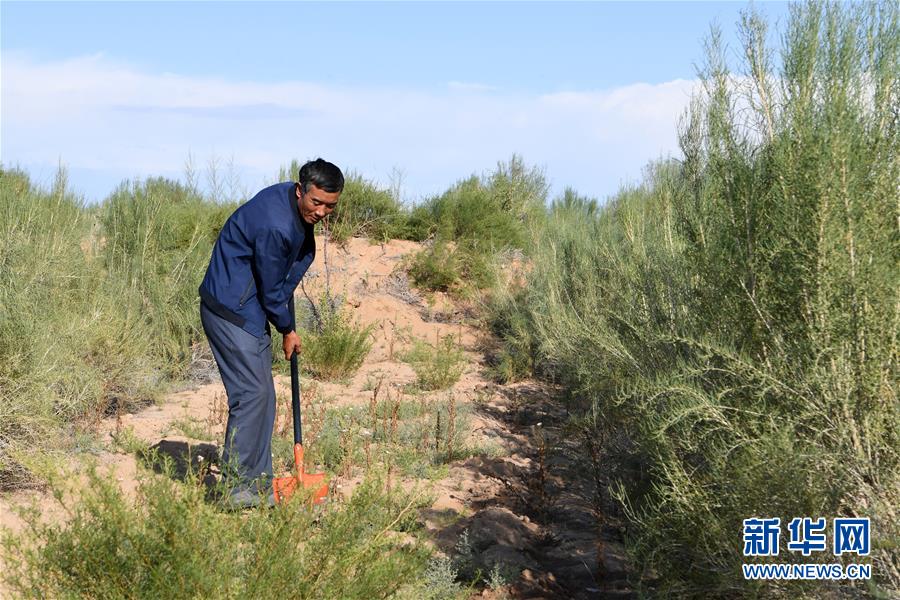 （新華全媒頭條&middot;走向我們的小康生活&middot;圖文互動）（8）&ldquo;苦甲&rdquo;不再，&ldquo;甘味&rdquo;綿長&mdash;&mdash;脫貧攻堅的甘肅味道