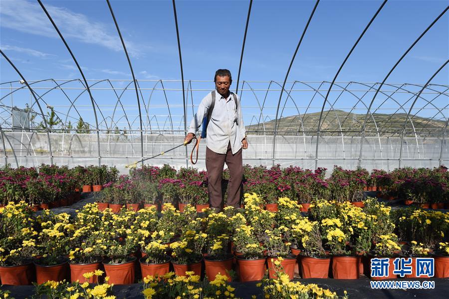 （新華全媒頭條&middot;走向我們的小康生活&middot;圖文互動）（10）&ldquo;苦甲&rdquo;不再，&ldquo;甘味&rdquo;綿長&mdash;&mdash;脫貧攻堅的甘肅味道