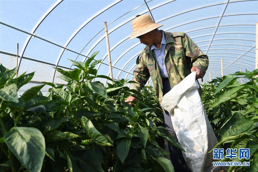 （走向我們的小康生活&middot;圖文互動）（2）&ldquo;荒涼&rdquo;土地掘金記&mdash;&mdash;甘肅旱作農(nóng)業(yè)發(fā)展&ldquo;變奏曲&rdquo;