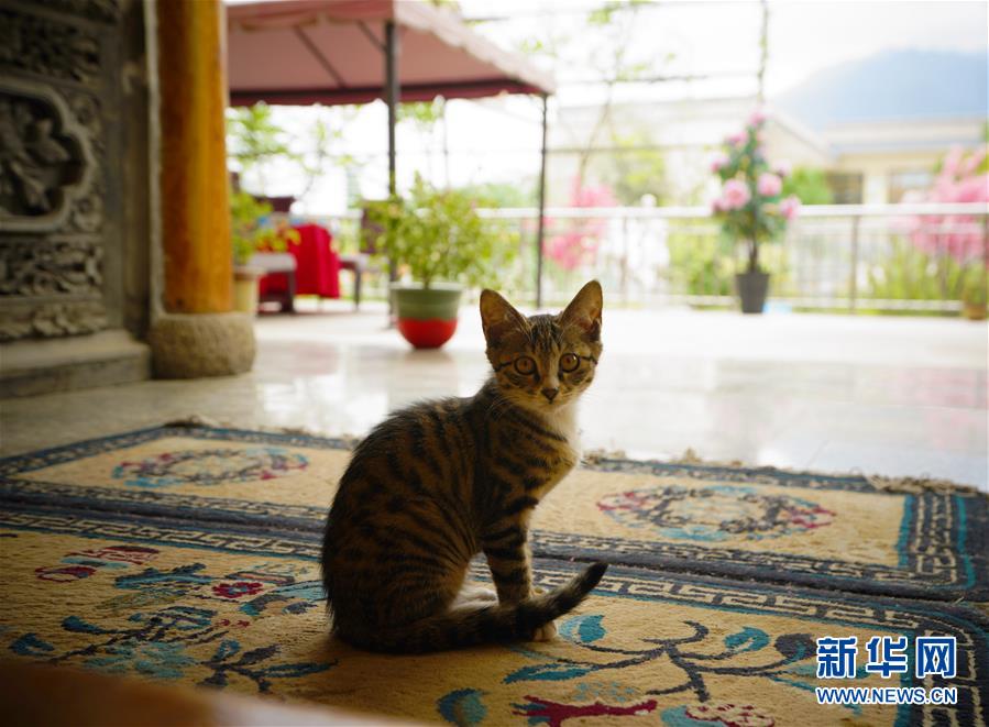 （走向我們的小康生活&middot;決戰(zhàn)決勝脫貧攻堅(jiān)&middot;圖文互動(dòng)）（3）甘青交界處的跨越&mdash;&mdash;保安族、撒拉族的脫貧故事