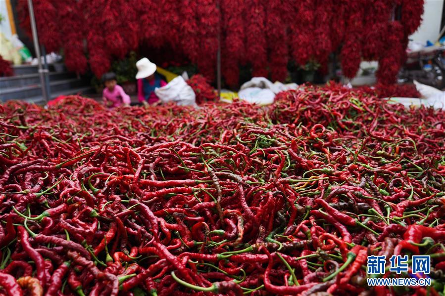 （走向我們的小康生活&middot;決戰(zhàn)決勝脫貧攻堅(jiān)&middot;圖文互動(dòng)）（7）甘青交界處的跨越&mdash;&mdash;保安族、撒拉族的脫貧故事 