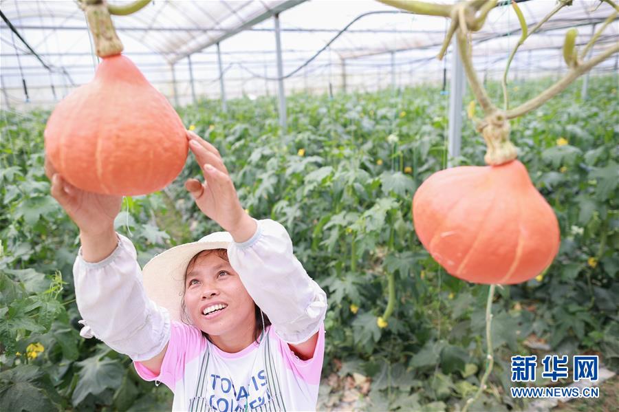 （走向我們的小康生活&middot;決戰(zhàn)決勝脫貧攻堅&middot;圖文互動）（2）麻山突圍記