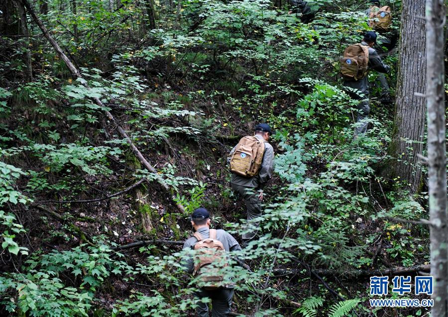 （圖文互動）（2）長白山60年書寫&ldquo;生態(tài)答卷&rdquo;