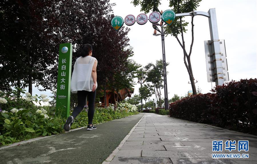 （圖文互動）（7）長白山60年書寫&ldquo;生態(tài)答卷&rdquo;