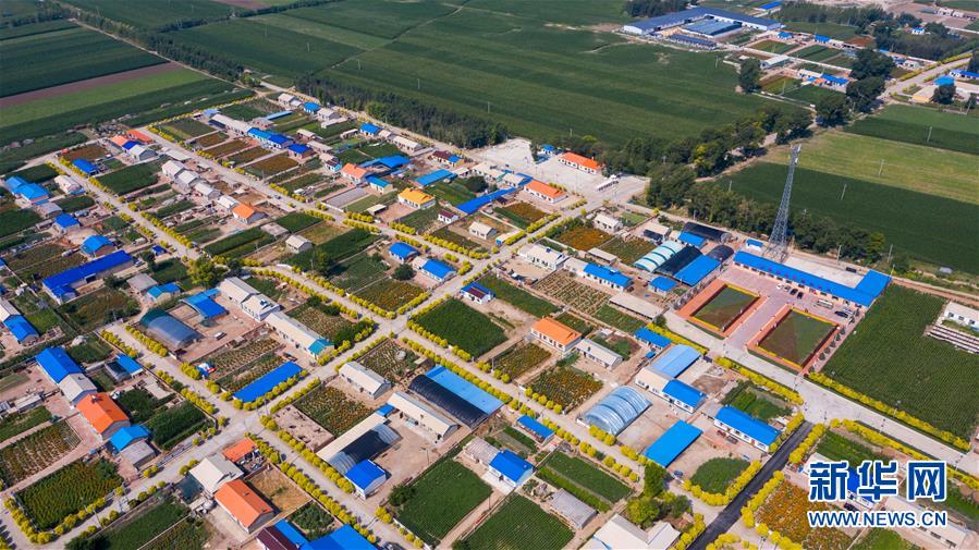 （新華全媒頭條&middot;走向我們的小康生活&middot;圖文互動(dòng)）（1）黑土地上是我家&mdash;&mdash;在吉林，一瞥中國(guó)東北鄉(xiāng)村美麗未來(lái)